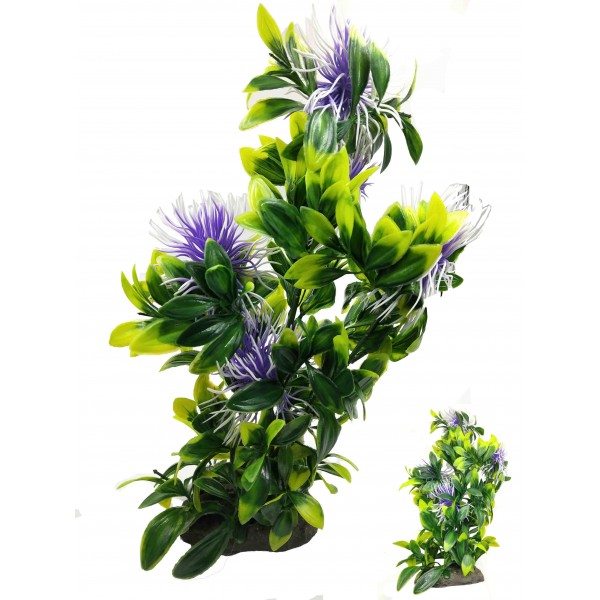 ΔΙΑΚΟΣΜΗΤΙΚΟ ΦΥΤΟ ΕΝΥΔΡΕΙΟΥ